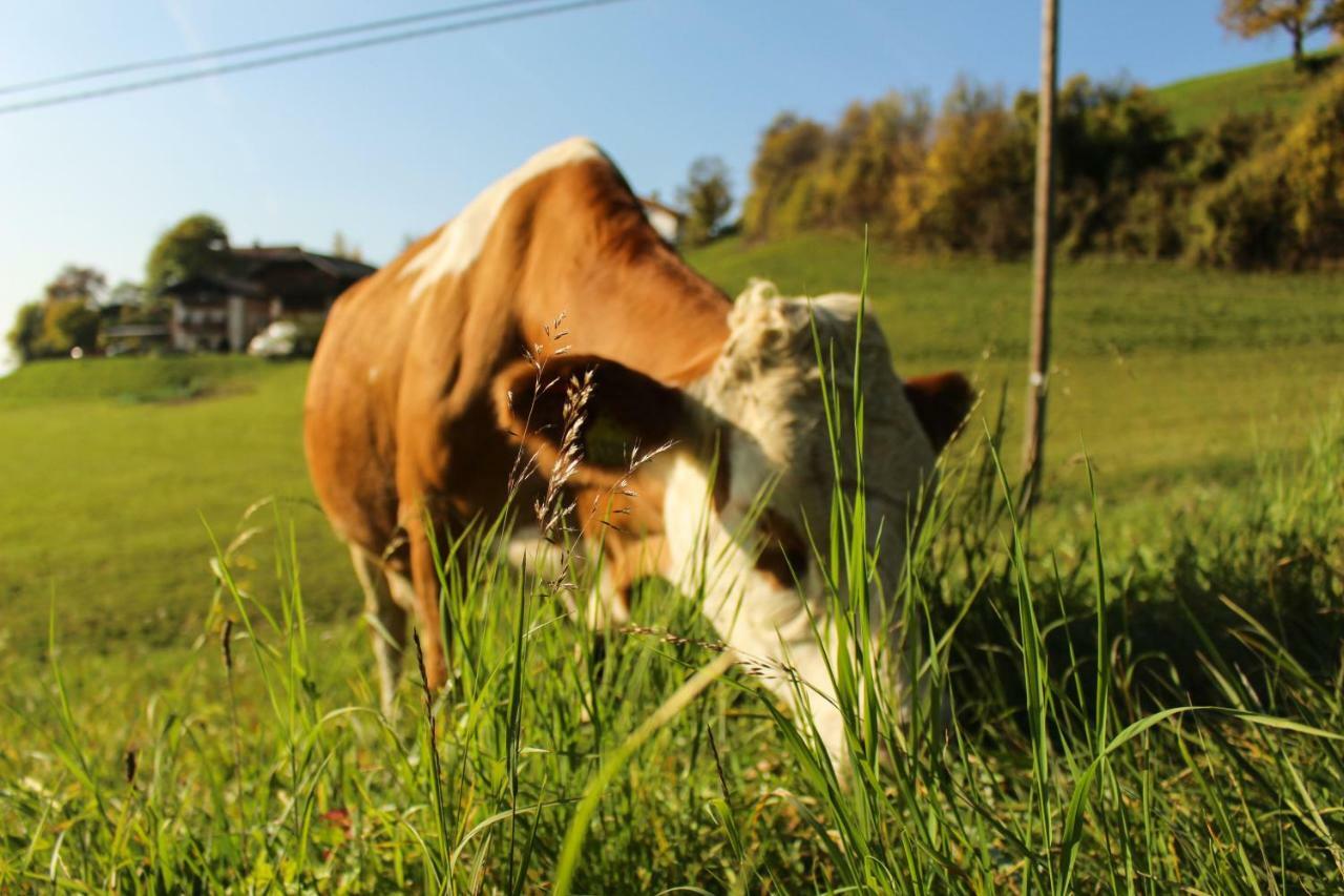 Willa Putzerhof Siusi Zewnętrze zdjęcie